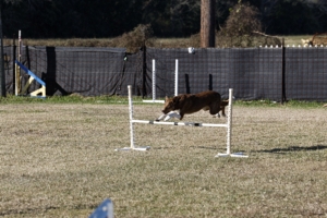 01.02.2026..-0041 .jpg