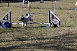 01.02.2026..-0552 .jpg