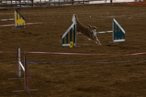 01.17.2026..-0048 .jpg