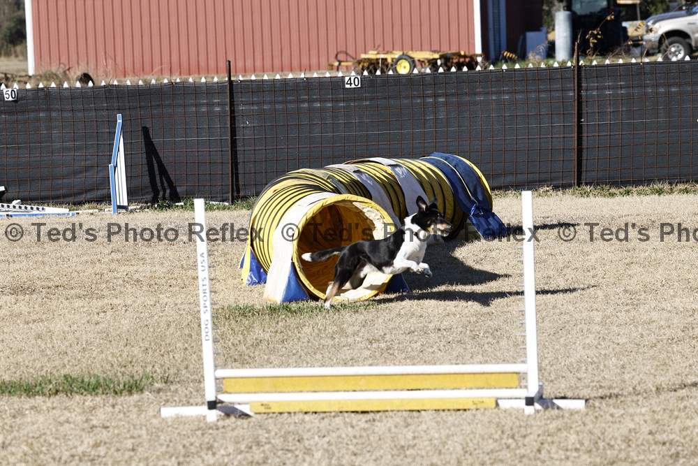 02.07.2026..-0025 .jpg