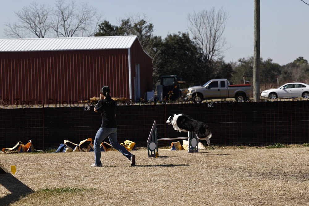 02.07.2026..-0226 .jpg