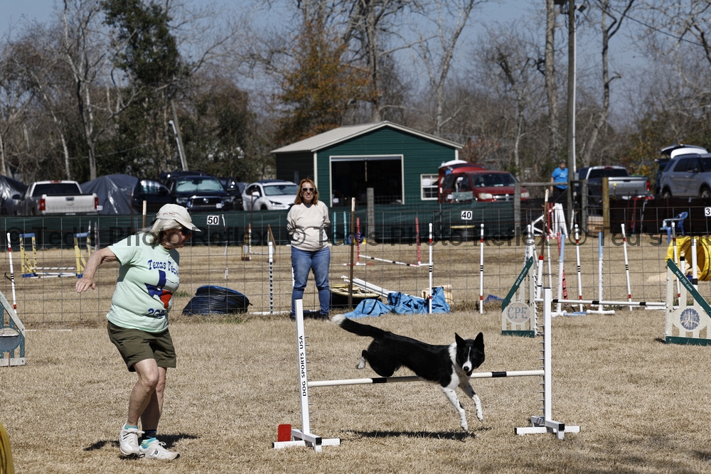 02.07.2026..-0251 .jpg