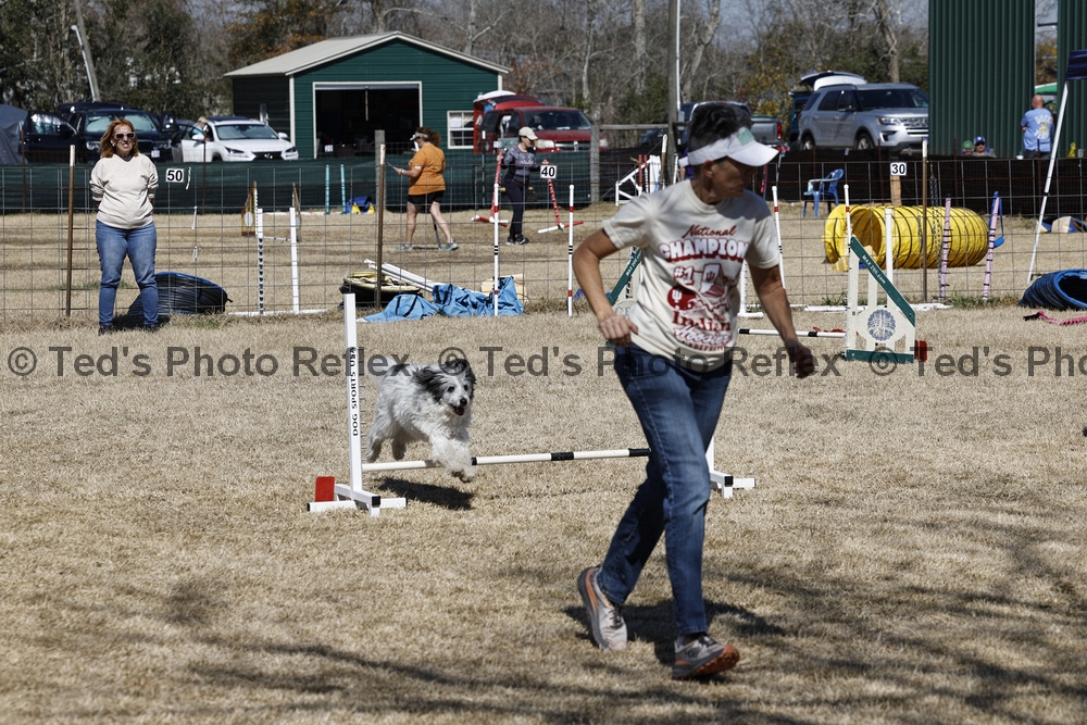 02.07.2026..-0292 .jpg