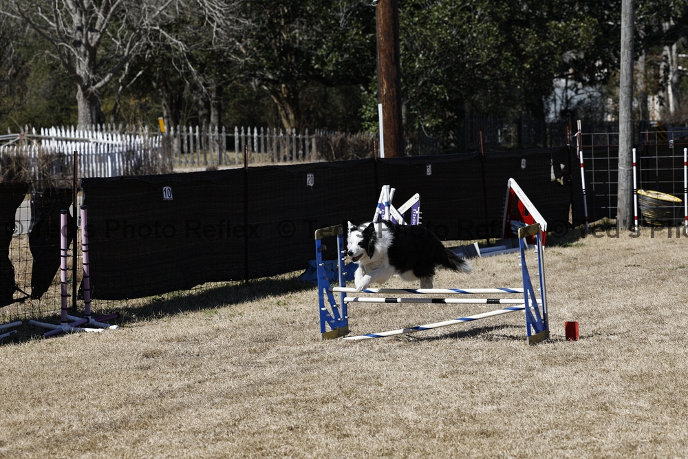 02.07.2026..-0320 .jpg