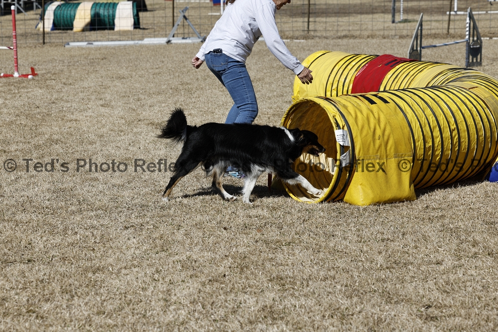 02.07.2026..-0327 .jpg