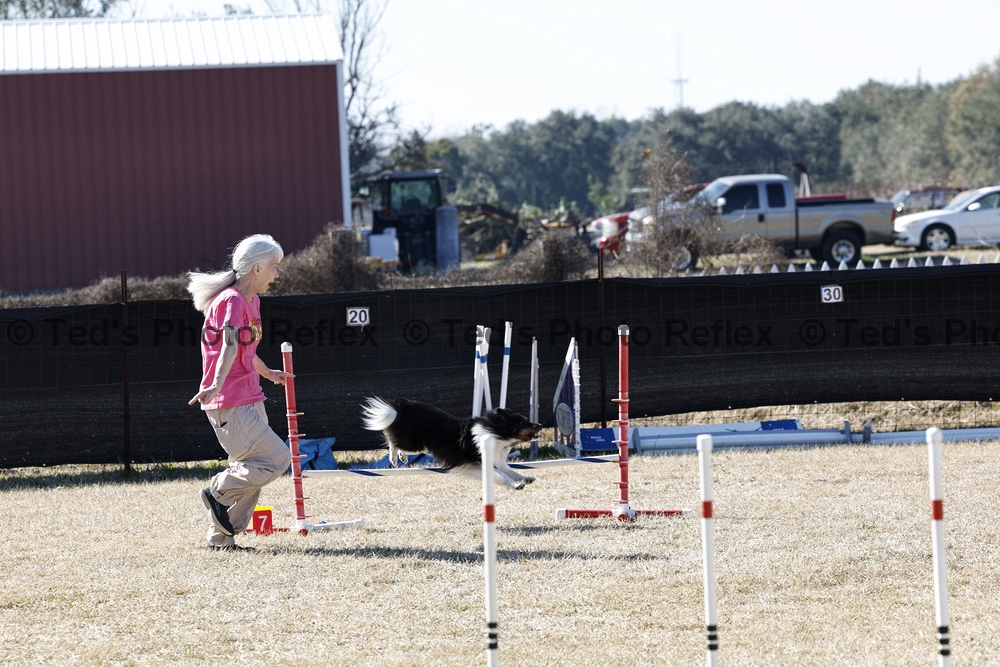 02.07.2026..-0350 .jpg