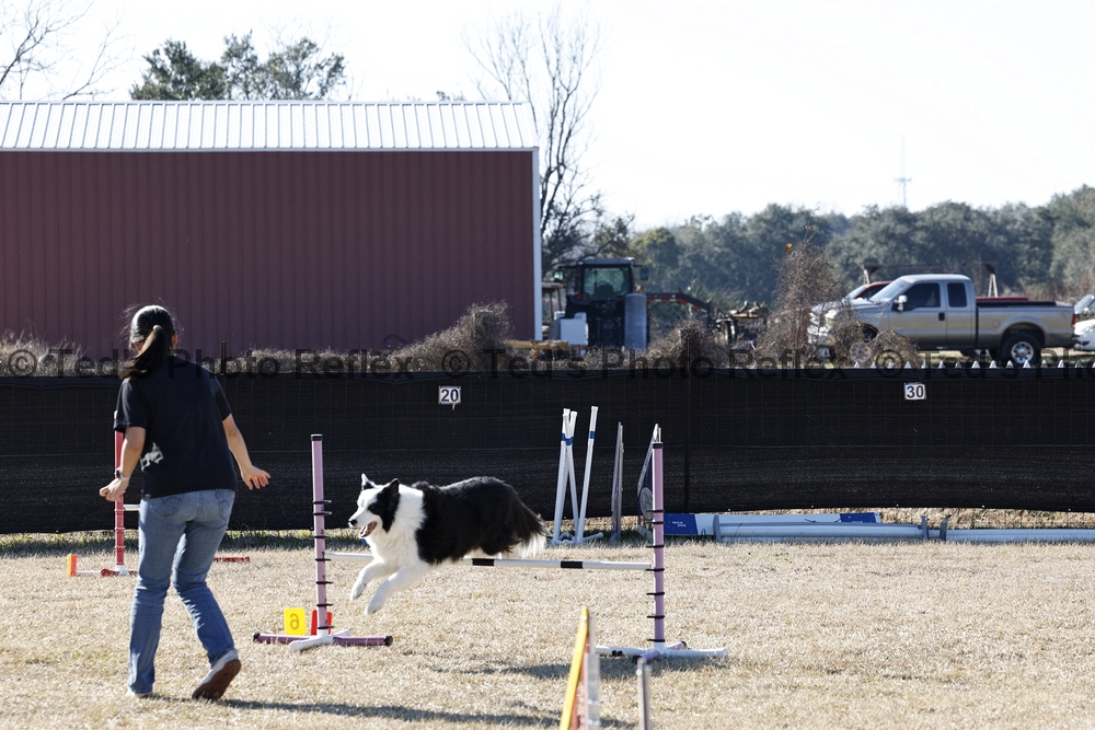 02.07.2026..-0389 .jpg