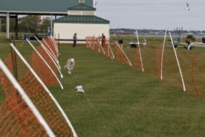 03.28.2026_013.jpg