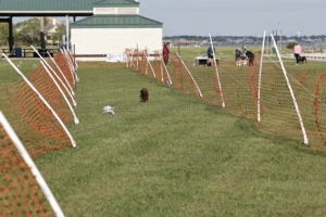 03.28.2026_084.jpg
