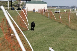 03.28.2026_098.jpg