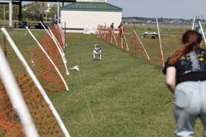 03.28.2026_110.jpg
